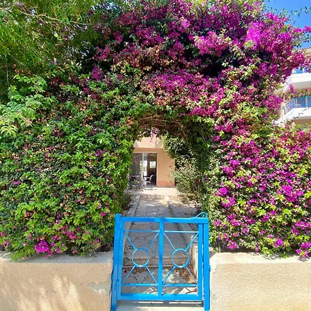 Seaside Sun Kissed House With Pool In Tourist Area * Paphos