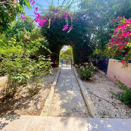 Seaside Sun Kissed House With Pool In Tourist Area * Paphos