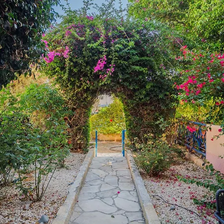 Seaside Sun Kissed House With Pool In Tourist Area Paphos