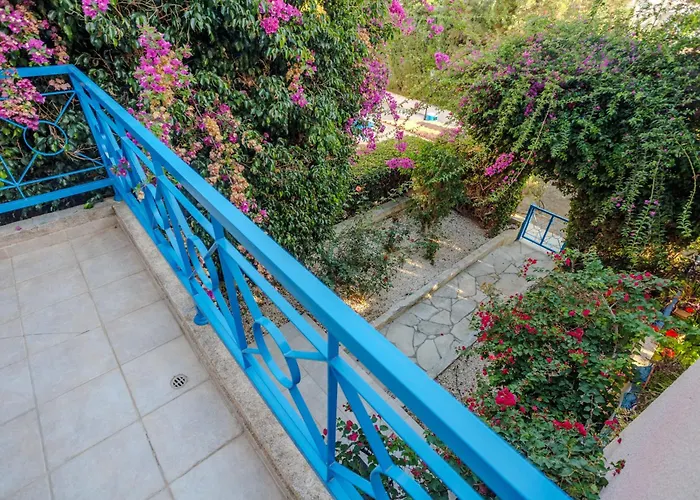 Seaside Sun Kissed House With Pool In Tourist Area بيت للعطل *